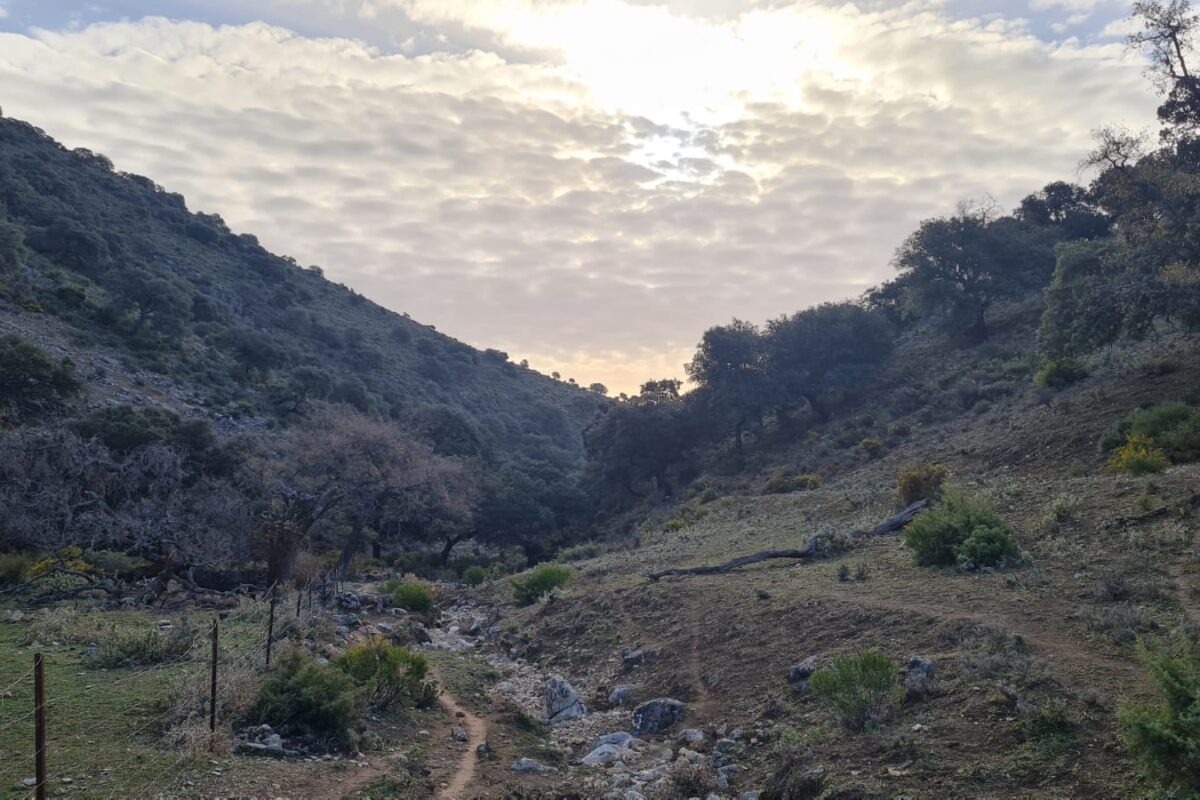 Montañismo Tiñosa Geo Parque Subbetica Priego de Cordoba (4)