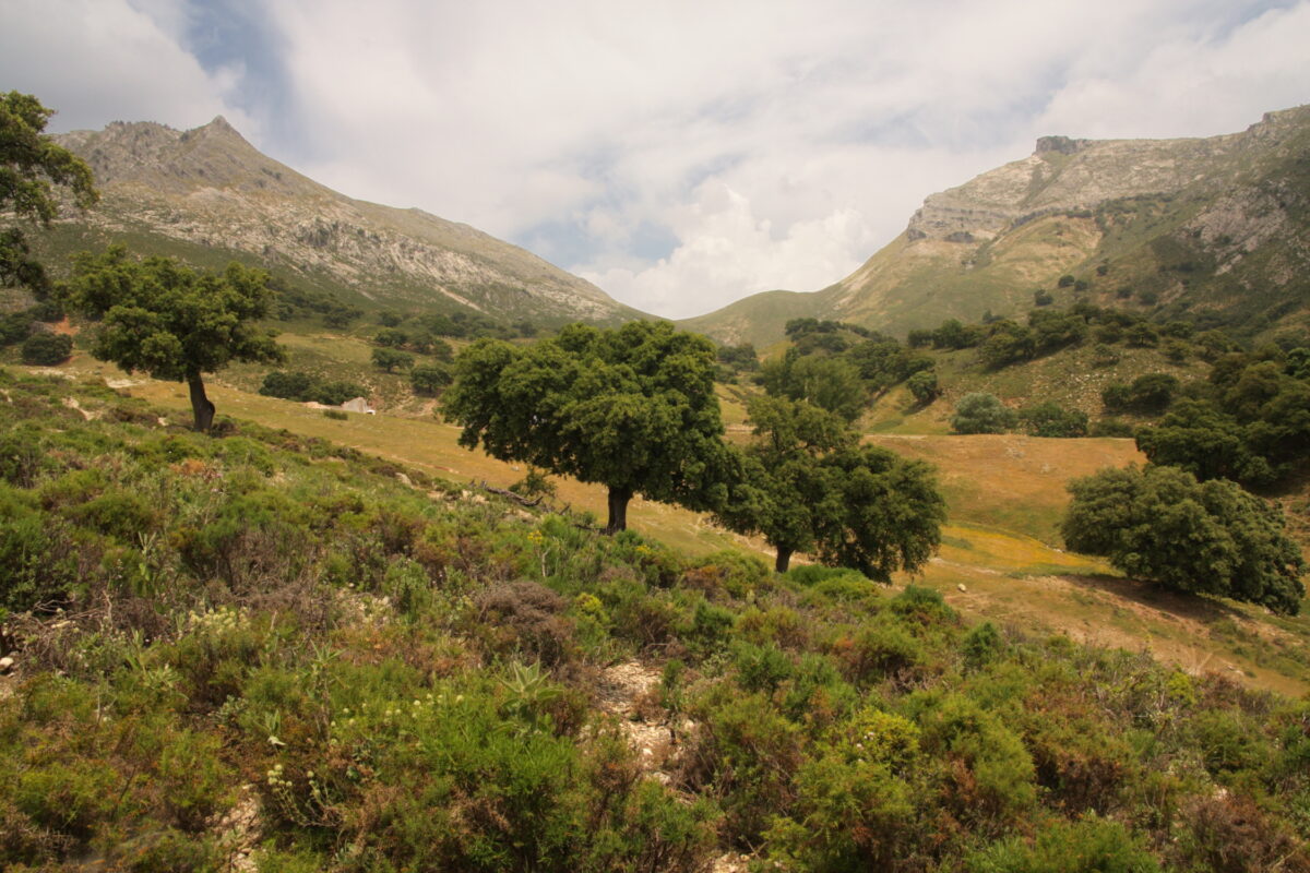 Paisaje Geo Parque Priego de Córdoba (2)